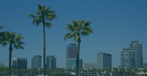 West Coast Partner